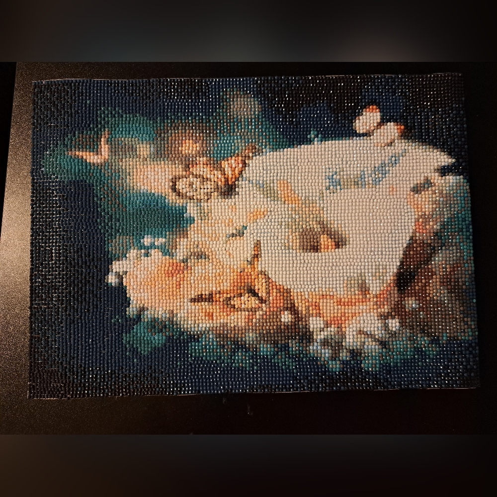 Finished butterfly and flower diamonds paintings